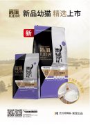 爵加新品幼貓精選上市！