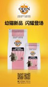 奧丁精品幼貓糧閃耀登場！??！