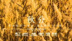 秋分丨晝夜分畫，漸入秋華