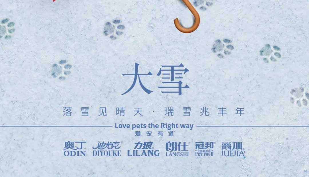 大雪丨雪落知寒意 久伴見初心！