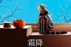 霜降丨縱然霜華盡染，心中美好如初