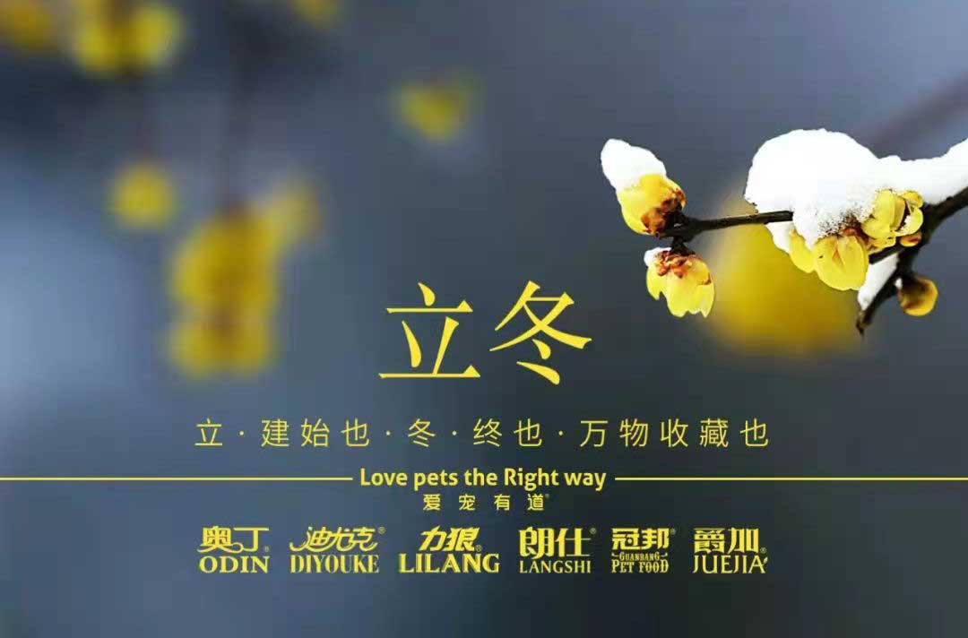 立冬丨冬寒初始，情暖愈濃